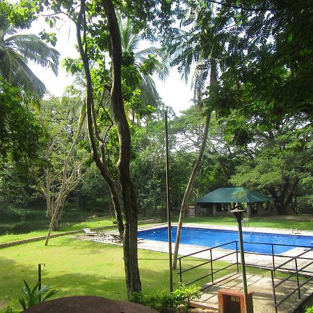 Hotel Dambulu Oya Family Park Dambulla Exteriér fotografie