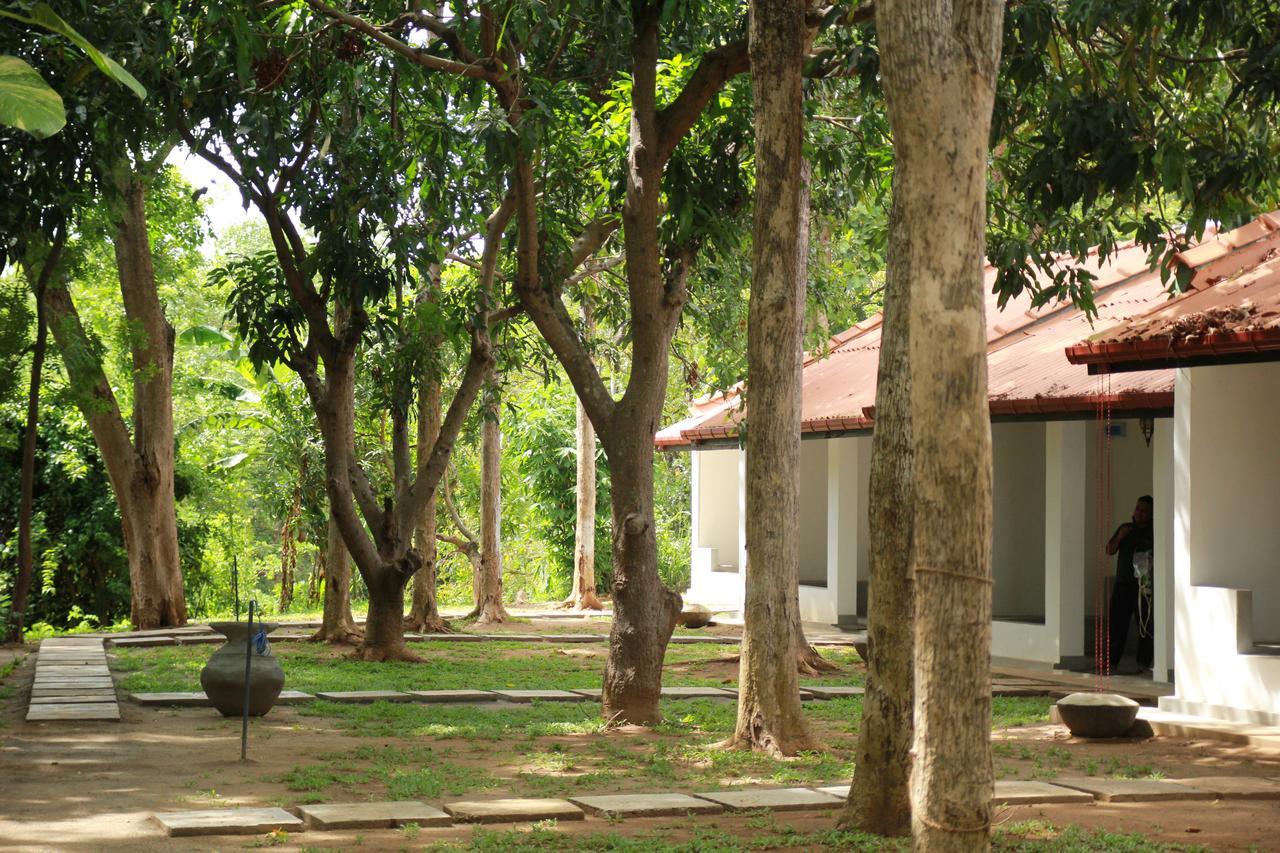 Hotel Dambulu Oya Family Park Dambulla Exteriér fotografie