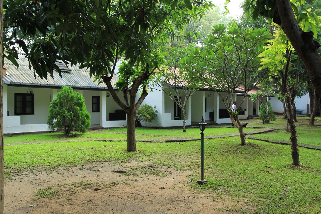 Hotel Dambulu Oya Family Park Dambulla Exteriér fotografie