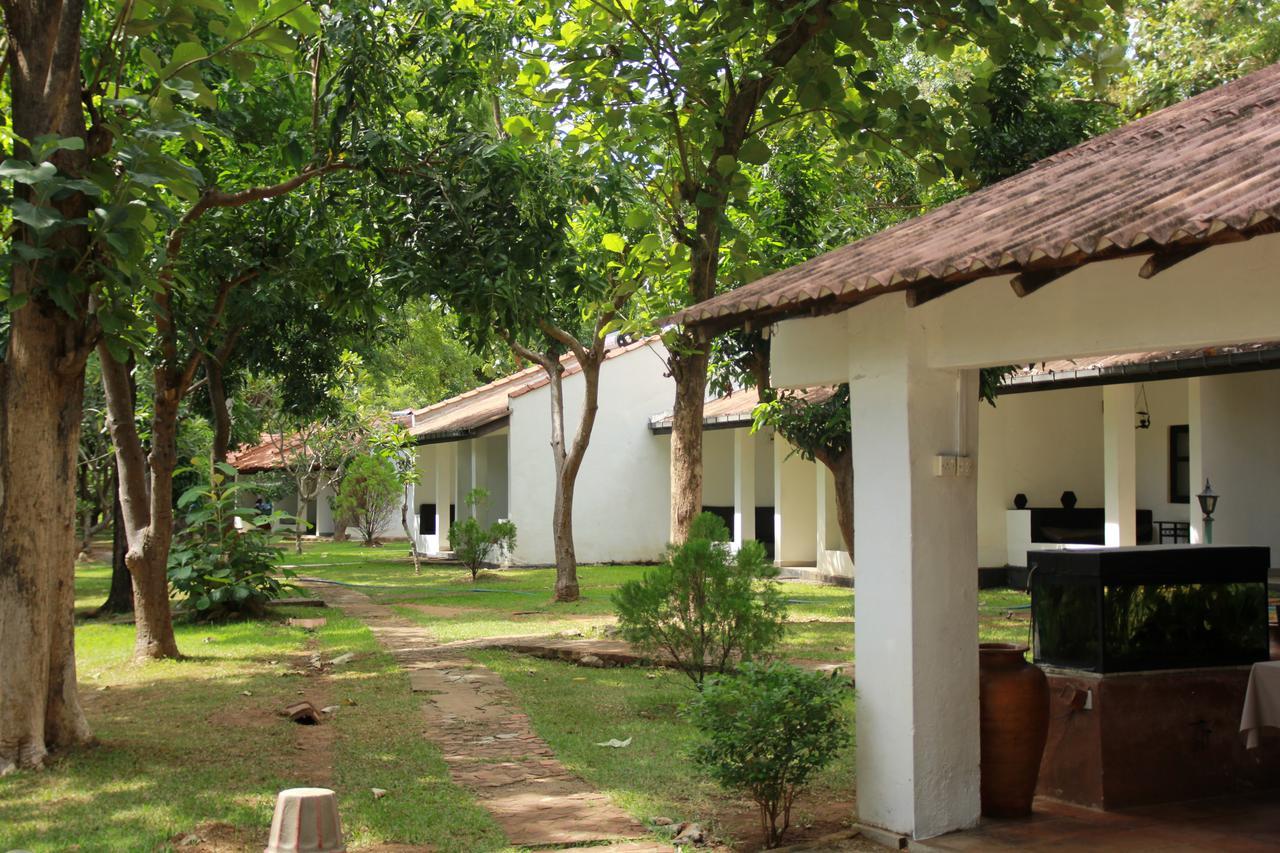 Hotel Dambulu Oya Family Park Dambulla Exteriér fotografie