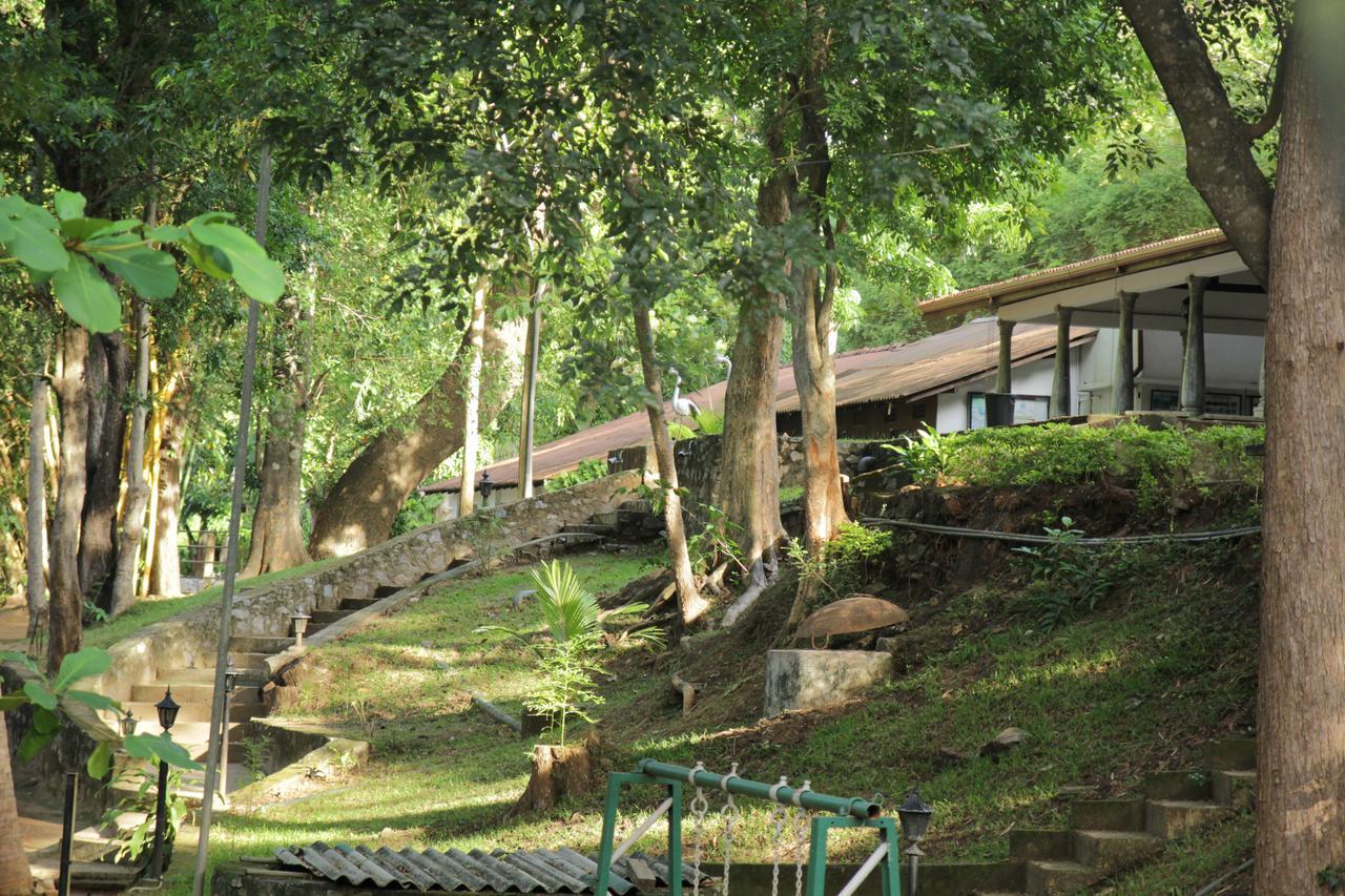 Hotel Dambulu Oya Family Park Dambulla Exteriér fotografie