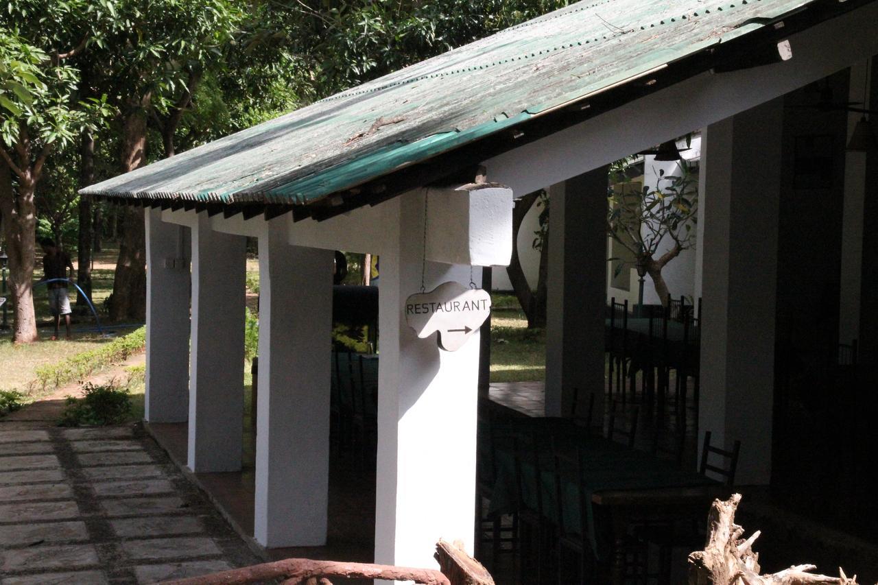 Hotel Dambulu Oya Family Park Dambulla Exteriér fotografie