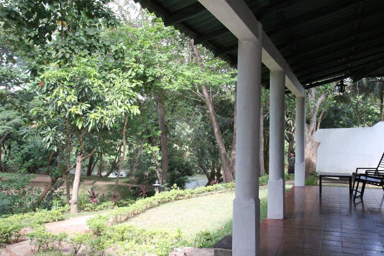 Hotel Dambulu Oya Family Park Dambulla Exteriér fotografie