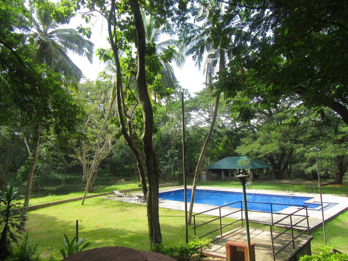 Hotel Dambulu Oya Family Park Dambulla Exteriér fotografie