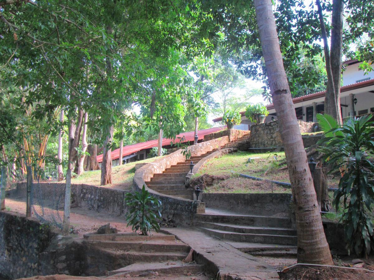 Hotel Dambulu Oya Family Park Dambulla Exteriér fotografie