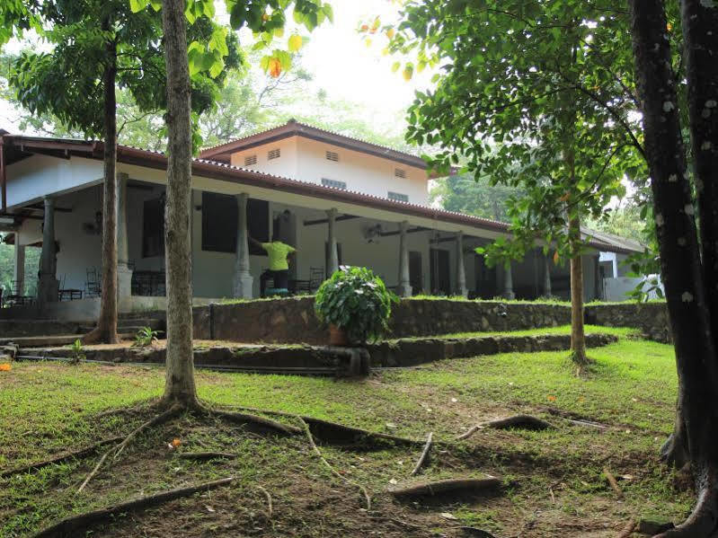 Hotel Dambulu Oya Family Park Dambulla Exteriér fotografie