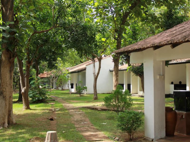 Hotel Dambulu Oya Family Park Dambulla Exteriér fotografie