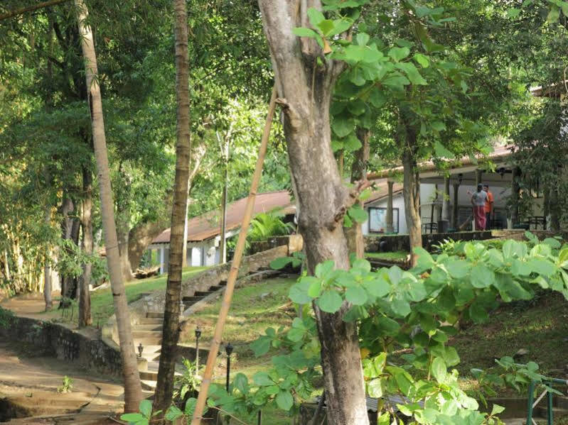 Hotel Dambulu Oya Family Park Dambulla Exteriér fotografie