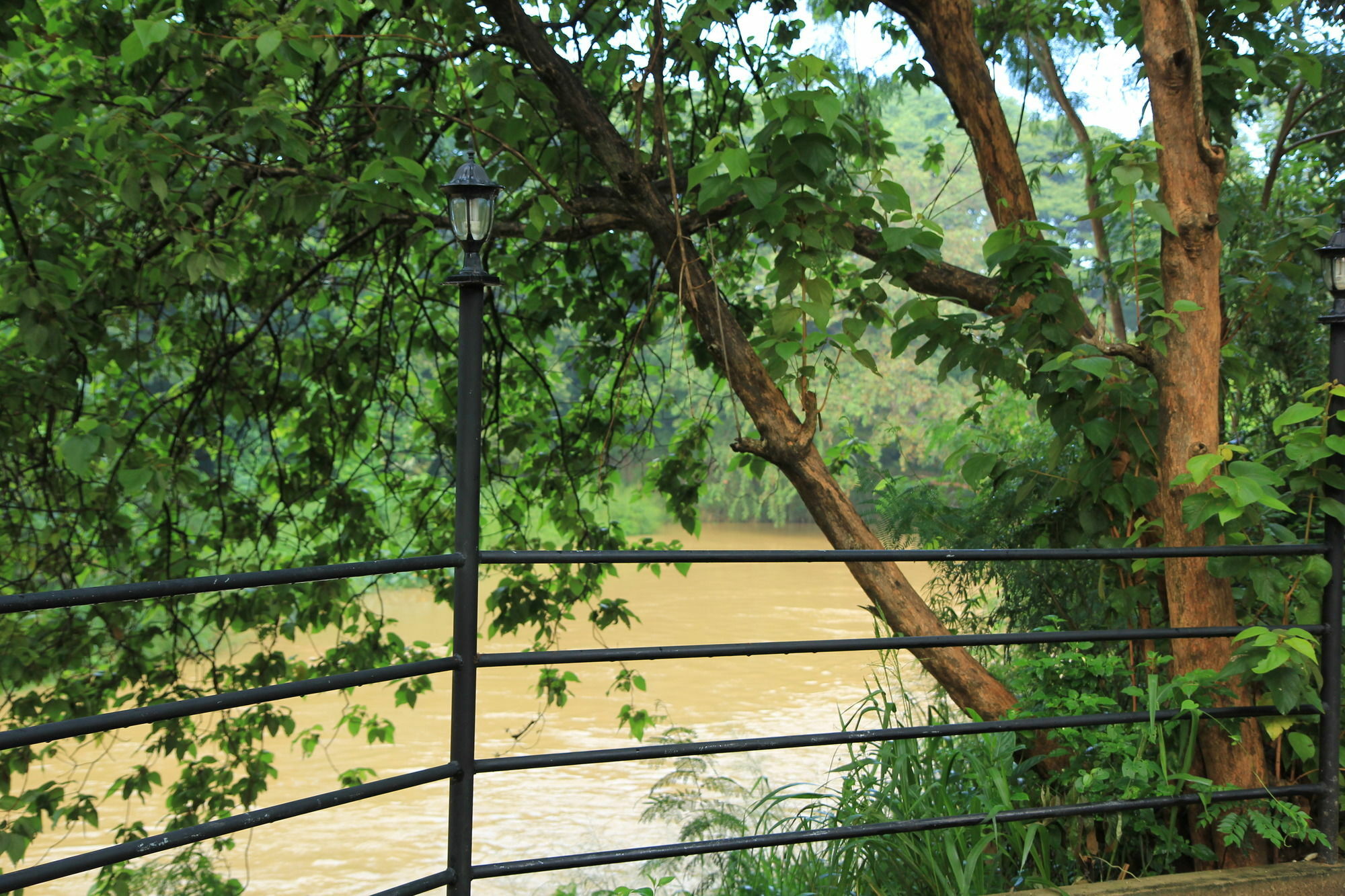 Hotel Dambulu Oya Family Park Dambulla Exteriér fotografie