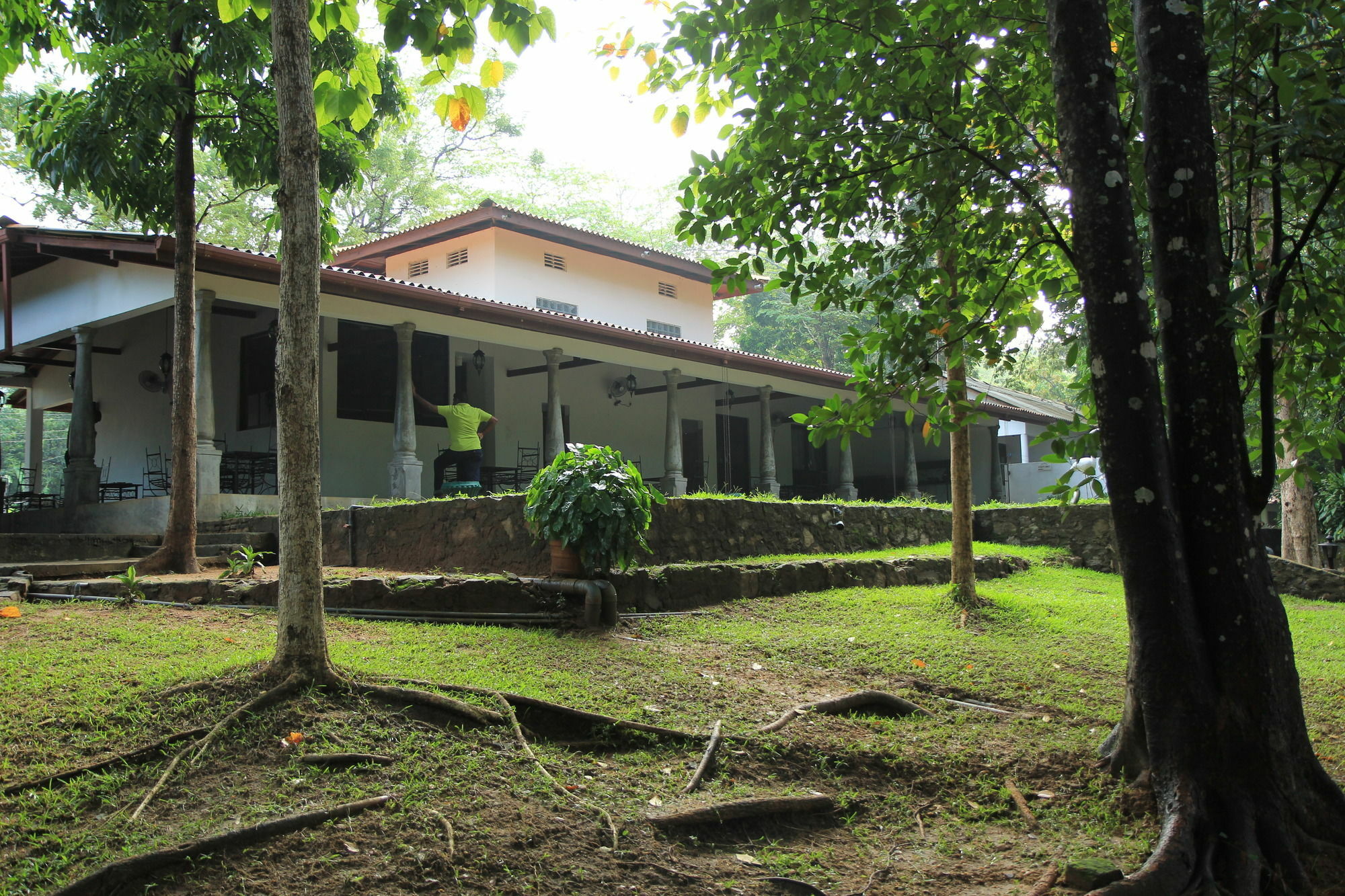 Hotel Dambulu Oya Family Park Dambulla Exteriér fotografie