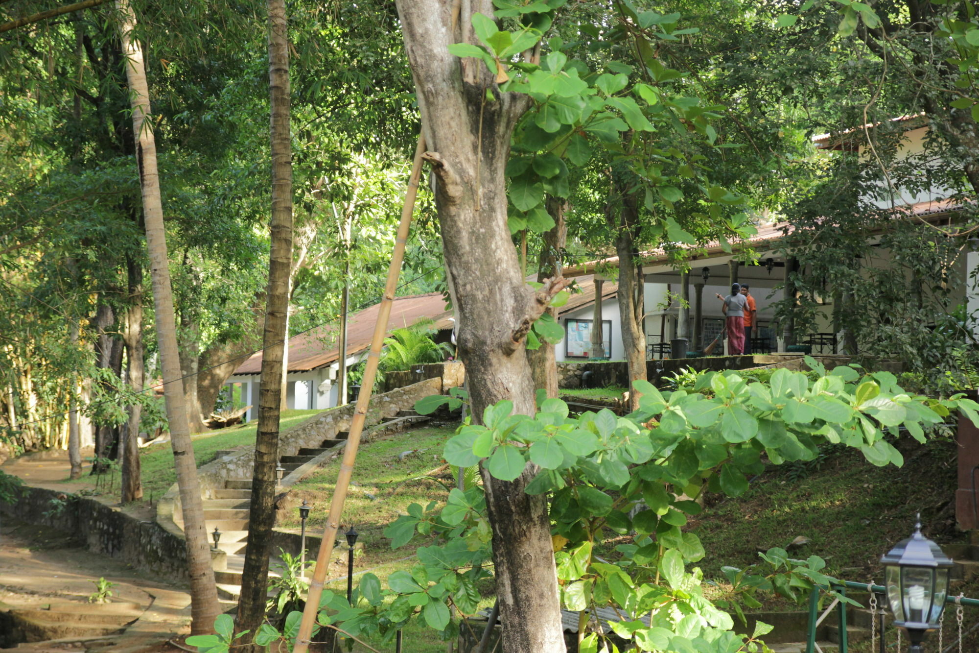 Hotel Dambulu Oya Family Park Dambulla Exteriér fotografie