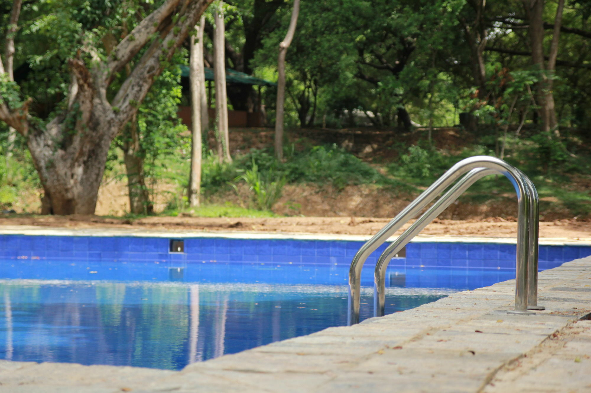 Hotel Dambulu Oya Family Park Dambulla Exteriér fotografie