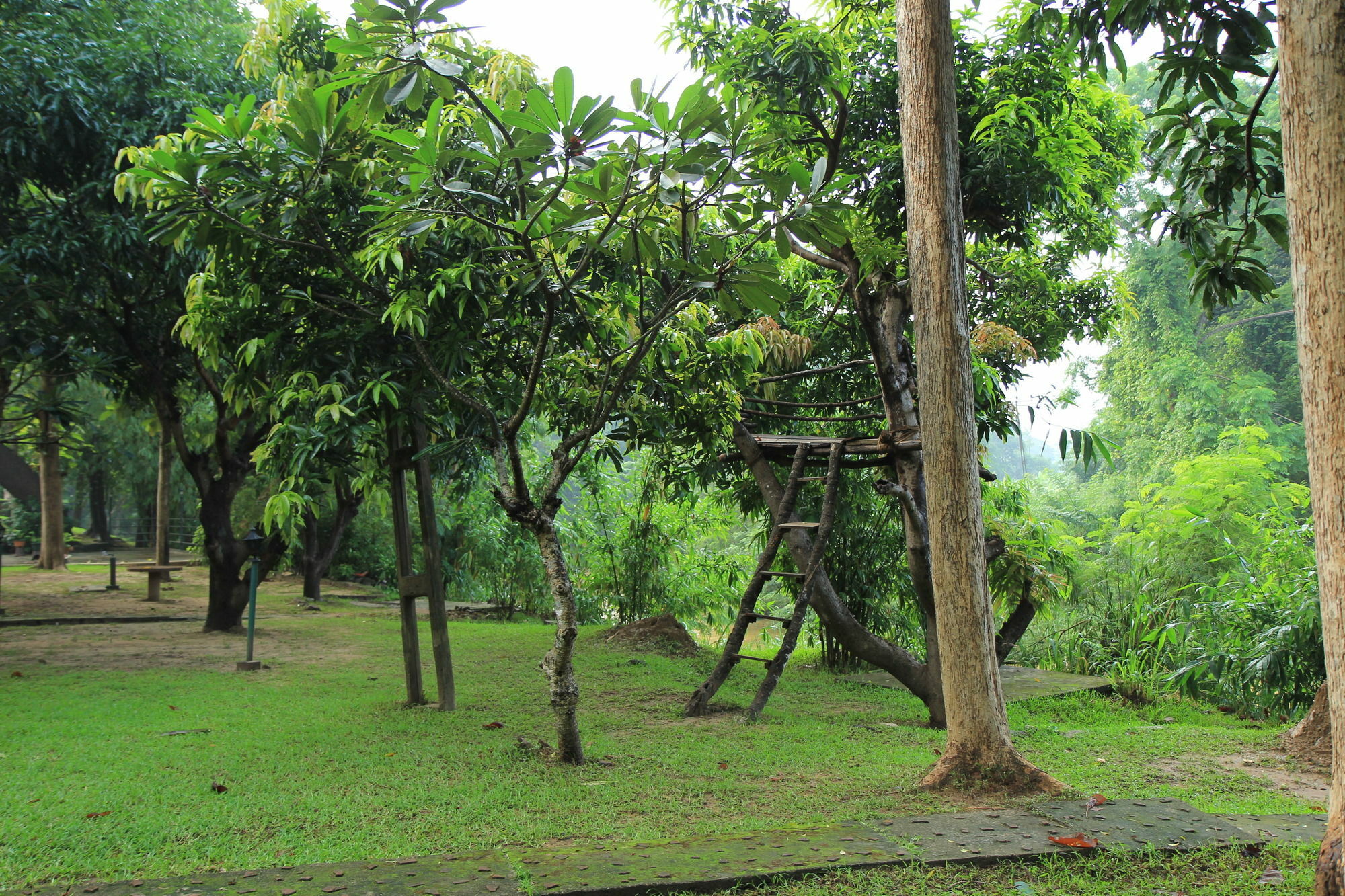 Hotel Dambulu Oya Family Park Dambulla Exteriér fotografie